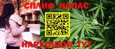 индика Пушкино