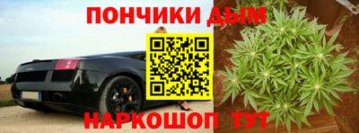 индика Пушкино