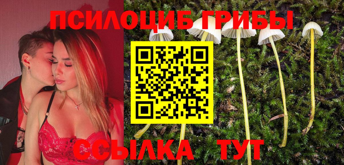 Псилоцибиновые грибы Psilocybine cubensis  купить наркотики цена  Семилуки  Вход с VPN 